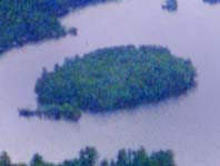 11 acre island at Tallwood Estates - click to enlarge