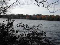 Lot5 at Tallwood Estates - click to enlarge